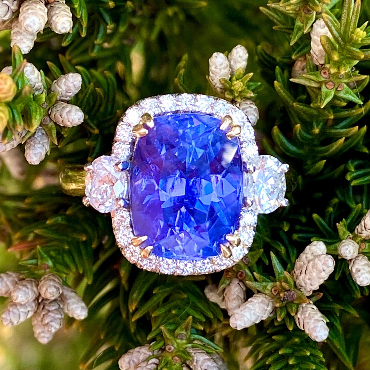 Sapphire has a Blue color shift in natural light. 